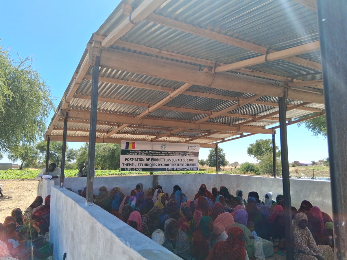 agmvtchad's tweet photo. L’ANGMV, en partenariat avec le PAM, a formé les 150 bénéficiaires du FACI de GAOUI (72,6 % de femmes) aux techniques d’agroforesterie durable.
Session animée par M. Djekornonde, expert en production, pour renforcer la résilience. @WFP_Chad @WFP https://t.co/0SIRZv2uCW