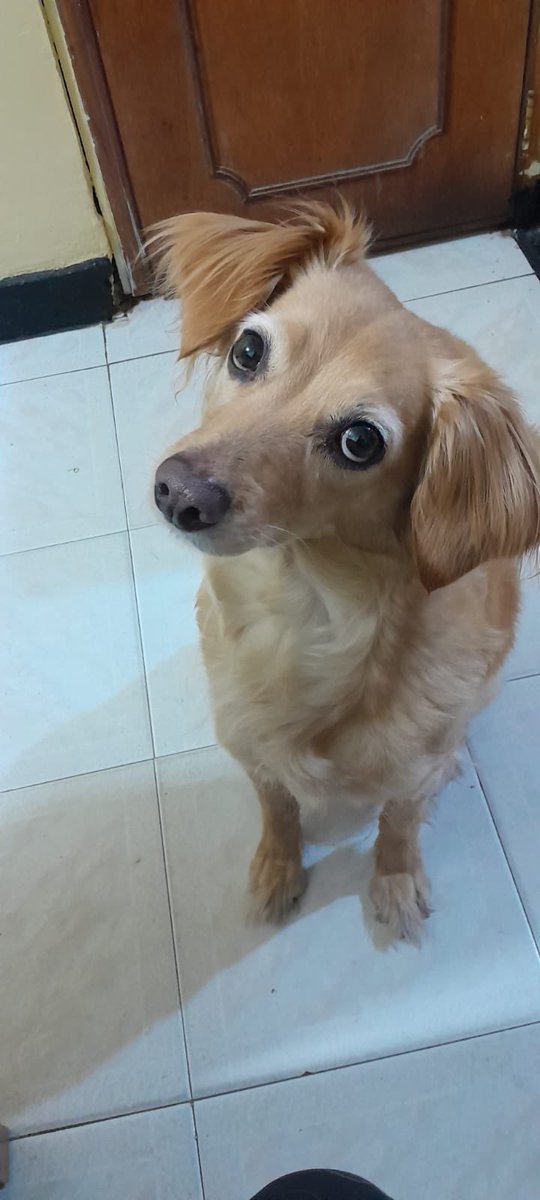 Sebastián. tweet media