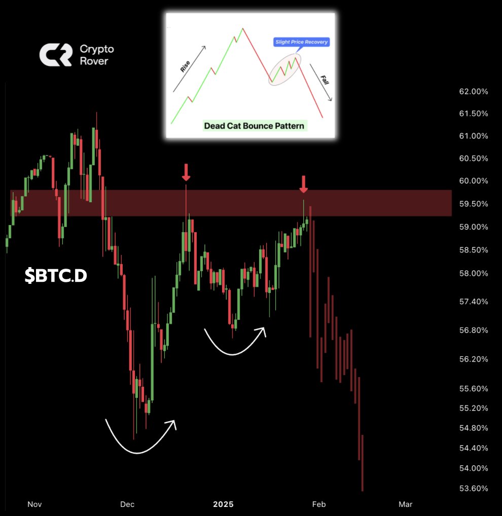 The reversal of #Bitcoin dominance is happening right now. A massive  #Altcoin season is about to kick off.