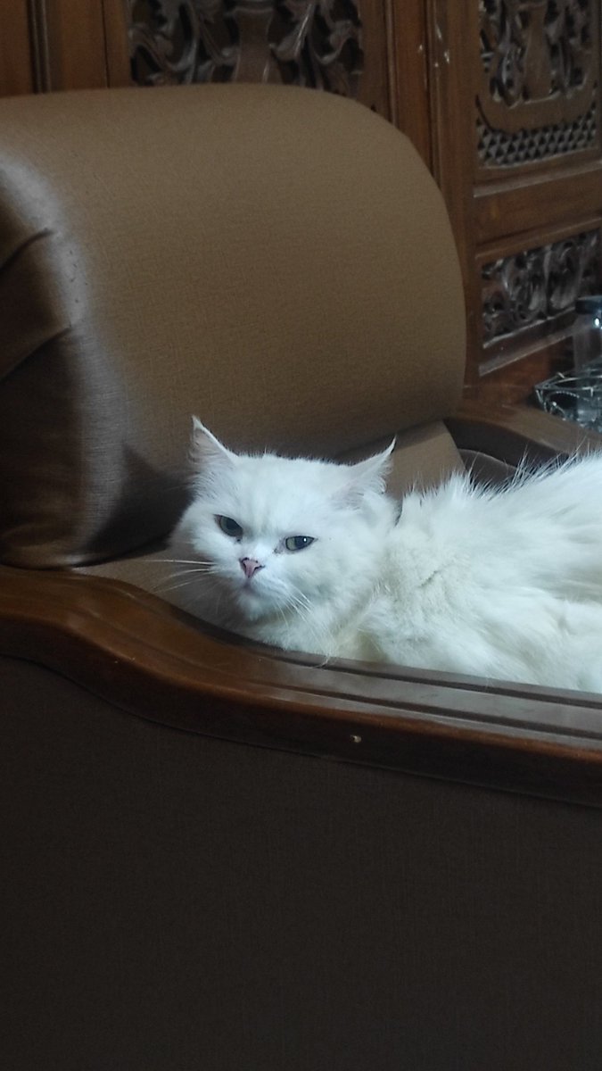 Ini dia marah banget ga sie? Lagi pamit mau ditinggal kerja langsung berekspresi gini 😭