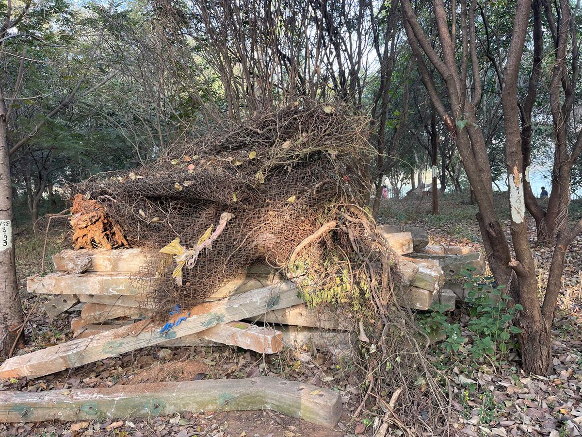 Raghavendra B Pachhapur tweet media