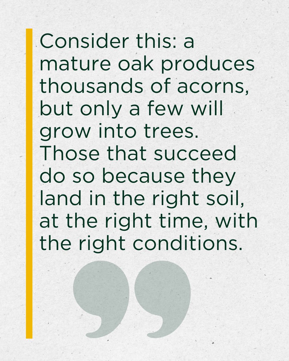 PrestonWaldon's tweet photo. Secure Your Farm’s Legacy 🌱

1️⃣ Understand tax relief changes
2️⃣ Plan ownership structure
3️⃣ Leverage green schemes

👇 Read our tips: https://t.co/uso41JXYWU

#Succession #Farming #Agriculture #PrestonWaldon https://t.co/i20ToZFJGe