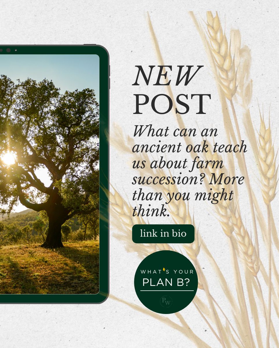 PrestonWaldon's tweet photo. Secure Your Farm’s Legacy 🌱

1️⃣ Understand tax relief changes
2️⃣ Plan ownership structure
3️⃣ Leverage green schemes

👇 Read our tips: https://t.co/uso41JXYWU

#Succession #Farming #Agriculture #PrestonWaldon https://t.co/i20ToZFJGe