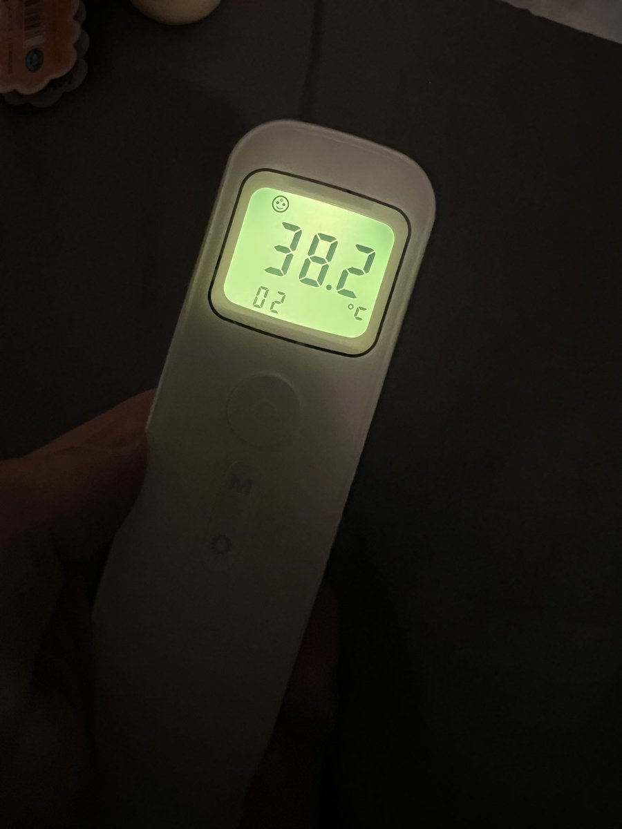 風邪が治らない、、6日連続38℃越え。どうした、珍しい。