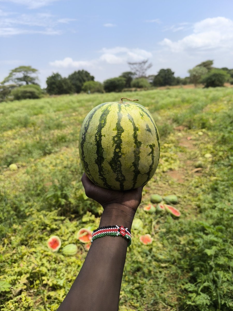 My mission is to Make mother Africa hunger free cause I know one who feeds you controls you.