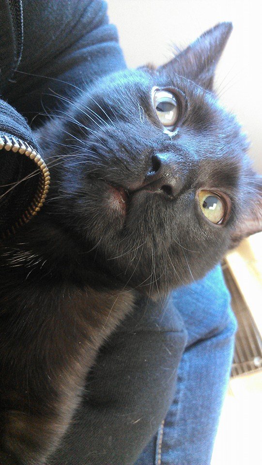 𝔢 𝔩 𝔩 𝔦 𝔢 tweet media