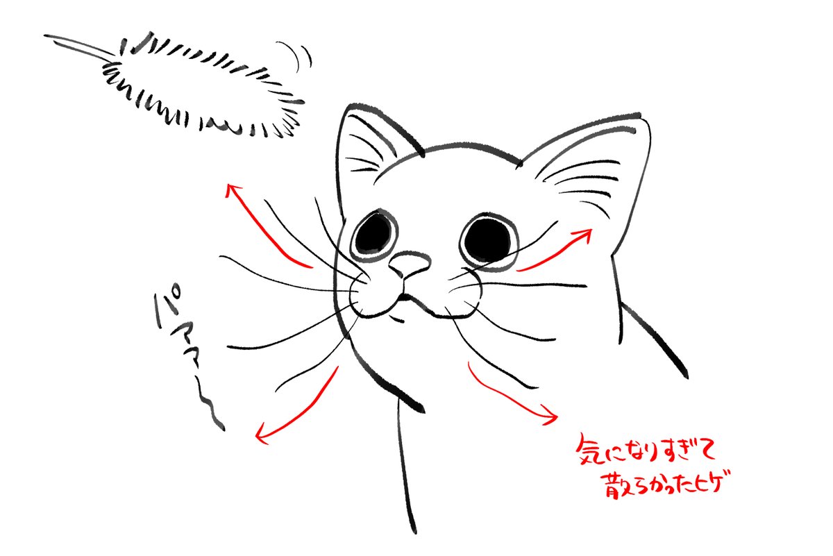 ねこのこれ好き