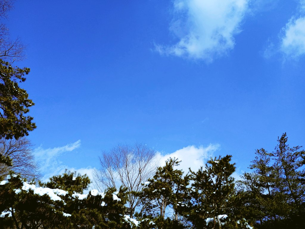 새해 각오를 하얀 눈 위에 발자국으로 다짐하며 뚜벅뚜벅 걷고 있다. 
눈 거친 파란 하늘은 한층 더 아름답다.