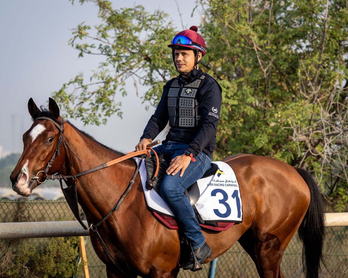 RacingDubai's tweet image. Welcome, OCTANS! 🇪🇸

The four-time winner makes her Meydan debut for @ArizkorretaR in the Mawj Stakes on Friday. @JanacekVaclav rides. 

Field: emiratesracing.com/racecard/2025-…

#DubaiCarnival l @emaardubai