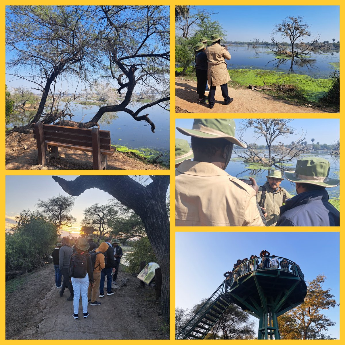 Wildlife Institute of India (@wii_india) on Twitter photo Trainees of the two-week Natural Heritage course learnt the intricate management techniques and experienced the wonderful biodiversity that make Keoladeo National Park a World Heritage Site.
<a href="/moefcc/">MoEF&CC</a> <a href="/wii_india/">Wildlife Institute of India</a> <a href="/SACONCoimbatore/">SACON_Sálim Ali Centre</a> <a href="/vrtiwari1/">Virendra Tiwari</a> <a href="/sureshwii/">Suresh Kumar</a> <a href="/nehrutp/">Nehru Prabakaran</a> <a href="/UNESCO/">UNESCO 🏛️ #Education #Sciences #Culture 🇺🇳</a> <a href="/ASIGoI/">Archaeological Survey of India</a> Trainees of the two-week Natural Heritage course learnt the intricate management techniques and experienced the wonderful biodiversity that make Keoladeo National Park a World Heritage Site.
<a href="/moefcc/">MoEF&CC</a> <a href="/wii_india/">Wildlife Institute of India</a> <a href="/SACONCoimbatore/">SACON_Sálim Ali Centre</a> <a href="/vrtiwari1/">Virendra Tiwari</a> <a href="/sureshwii/">Suresh Kumar</a> <a href="/nehrutp/">Nehru Prabakaran</a> <a href="/UNESCO/">UNESCO 🏛️ #Education #Sciences #Culture 🇺🇳</a> <a href="/ASIGoI/">Archaeological Survey of India</a>