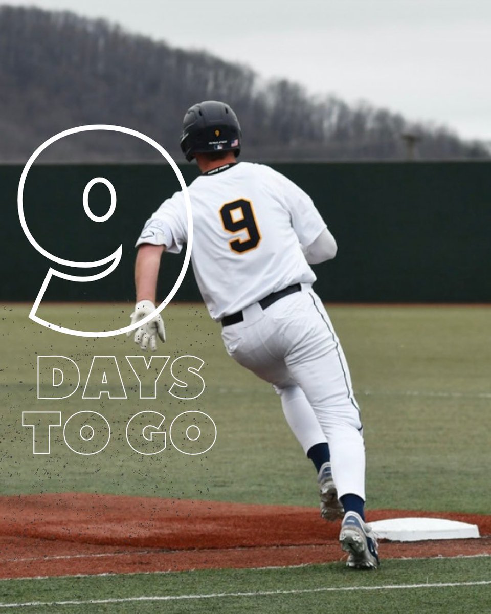 9 days to go 🚨🔜  #2025season #goldenbears