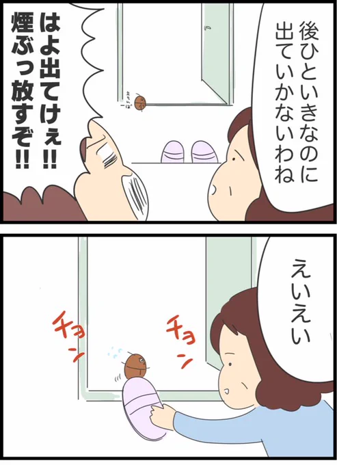 2/2 
