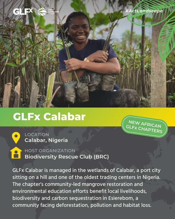 BRC_NG's tweet image. We are enthusiastic about the opportunity for local and cross-national partnership, offered by the GLFx Network of the @GlobalLF one which we consider timely to accelerate collaborative action for achieving a sustainable and climate-resilient planet.

#ThinkLandscape 
#BRC🇳🇬