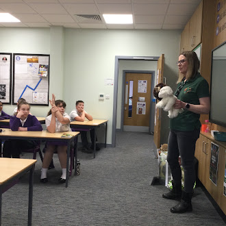 OPA Kirkhamgate (@opa_khg) on Twitter photo Across the academy the children loved the hedgehog workshops, learning about how <a href="/PricklyedgeR/">PricklyEdge Hedgehog Rescue</a> looks after hedgehogs and what we can do to ensure they are not harmed. 💜 Across the academy the children loved the hedgehog workshops, learning about how <a href="/PricklyedgeR/">PricklyEdge Hedgehog Rescue</a> looks after hedgehogs and what we can do to ensure they are not harmed. 💜