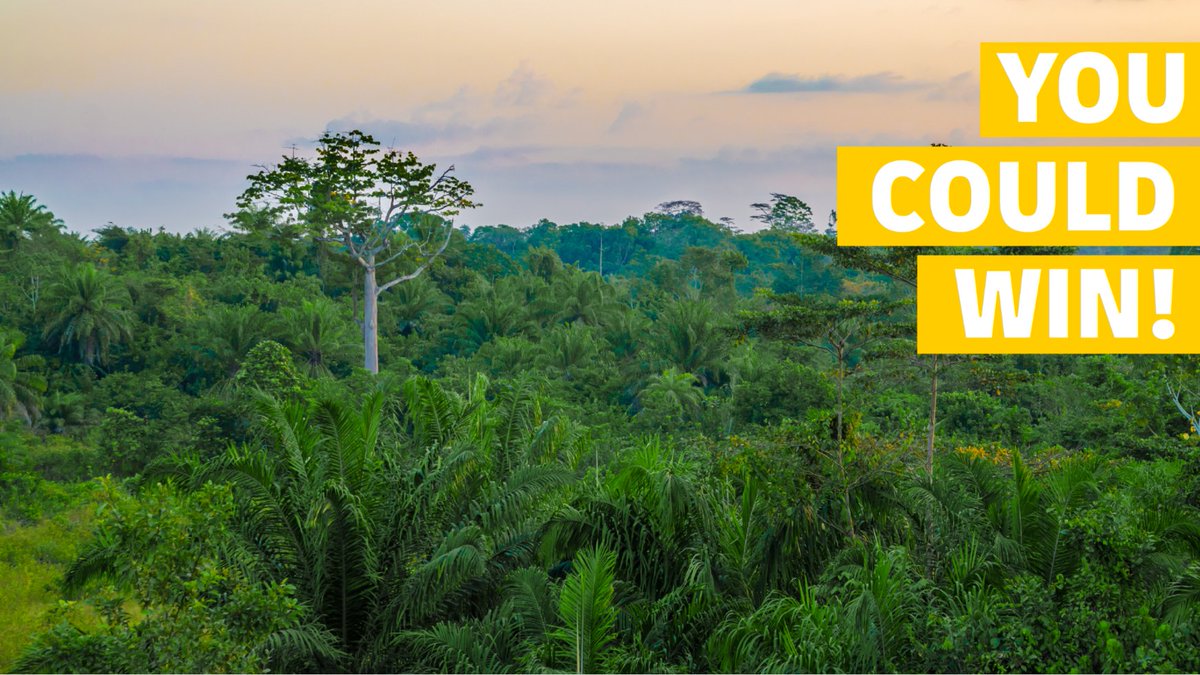 DHLAfrica's tweet image. Which African country has 9 bordering countries? 

Ethiopia, DRC or Malawi

Clue: 2nd largest country in Africa.

#DHLDelivers #QuickQuiz