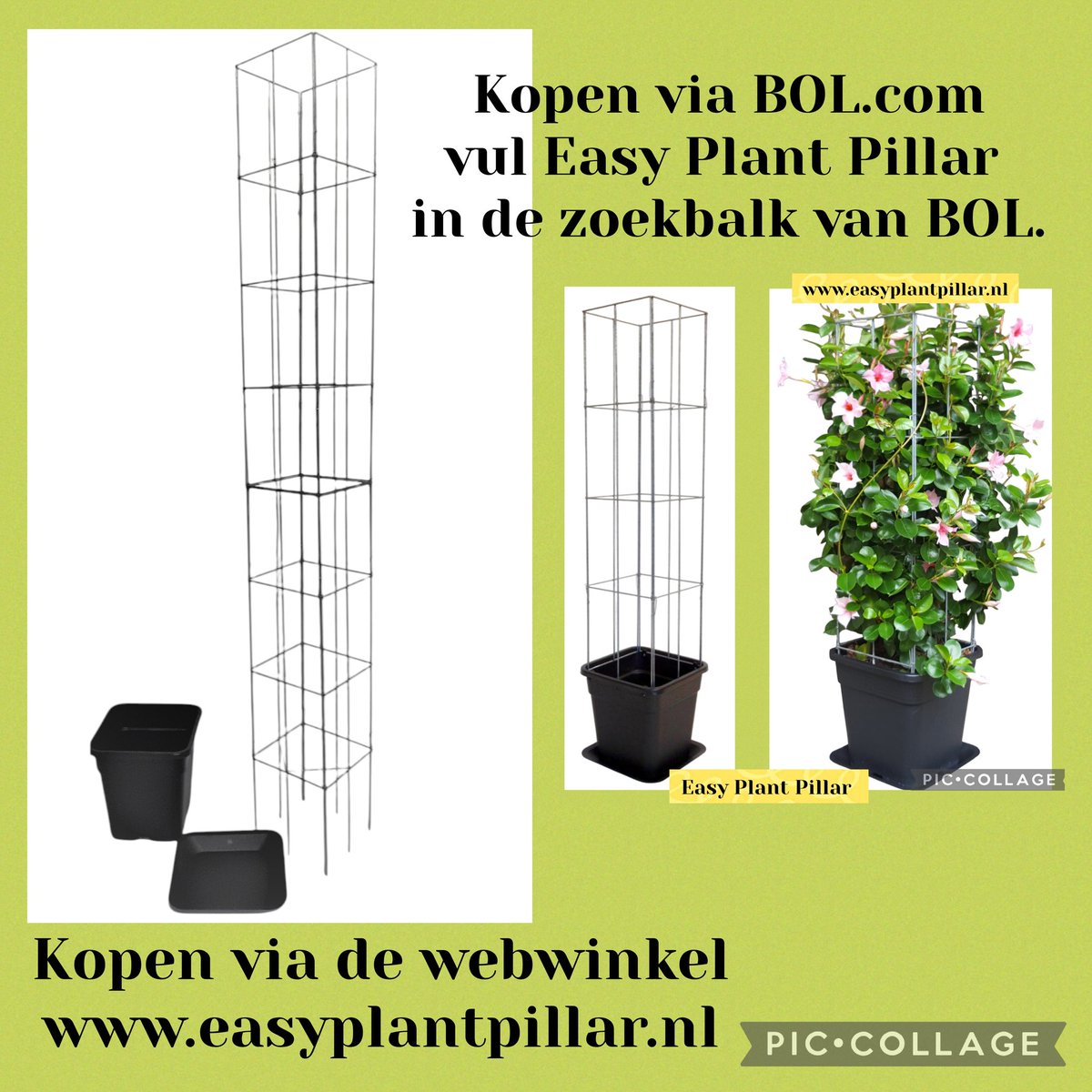 Easy Plant Pillar climbing plant racks. Vertical gardening with vegetables, fruit and support for other plants, more than 40 models. The Wire Racks do not rust and are extendable.
easyplantpillar.nl