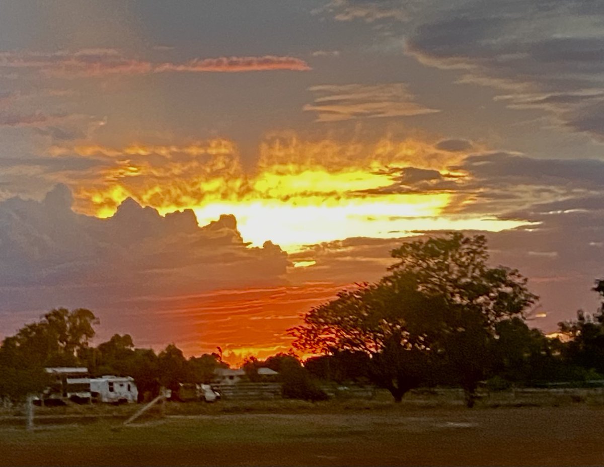 Peter Dornan AM tweet media