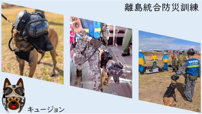 自由な犬 入間基地の警備犬が離島統合防災訓練(RIDEX)に参加し、離島での大規模