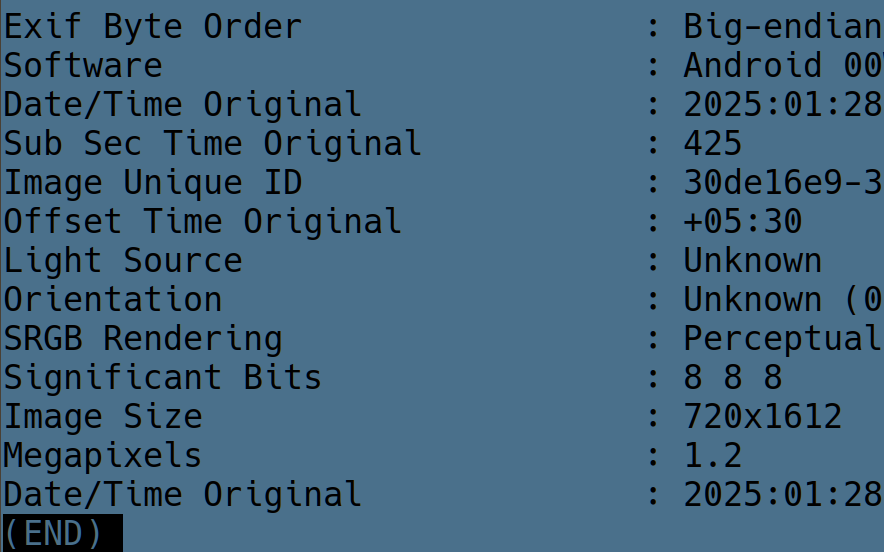 mas.to / tweet media