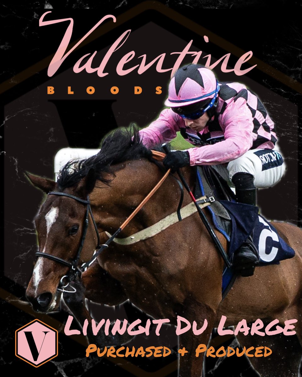 ValentineBStock's tweet photo. 💥 🥇 LIVINGIT DU LARGE is tough &amp; stays well, winning at Chepstow in the mud - more to come from the big scopey 4YO.

👍🏼 Well done to his owners @JonnyHorses &amp; Mrs J Bryant , @jamiesnowden &amp; jockey Gav Sheehan 
 
✉️ Purchased privately as a Foal 🇫🇷 https://t.co/6vLAe2QX9s