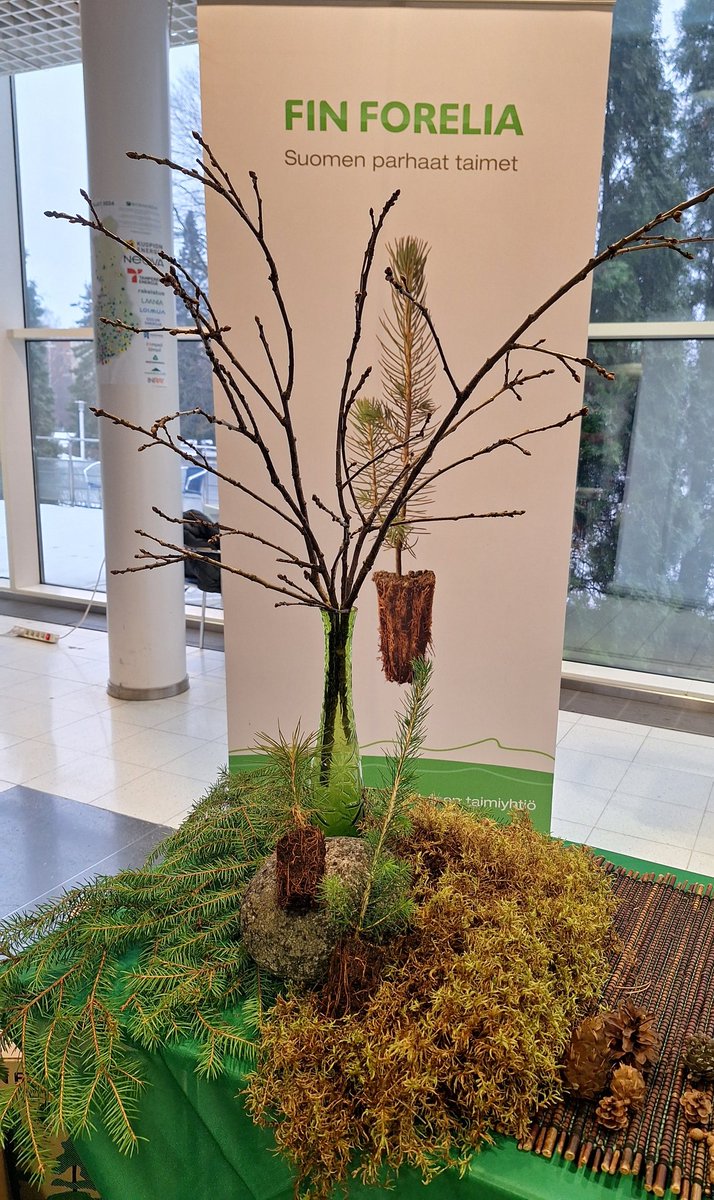 Pikkuisten puiden kanssa #FinForeliaOy esittäytymässä metsänhoitoyhdistyspäivillä Tampereella. Ihania kohtaamisia vuosikymmentenkin takaa. Täällä on paljon väkeä, joiden sielussa ja sydämessä on metsä 💚🌱🌱🌲🌳🍃