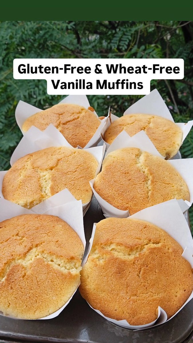 Introducing Gluten-Free &amp; Wheat-Free Vanilla Muffins 
This are so yummy and filled with so much goodness

Make your order today
We are happy to serve you 
#glutenfreemuffins #wheatfreemuffins #onjafoods