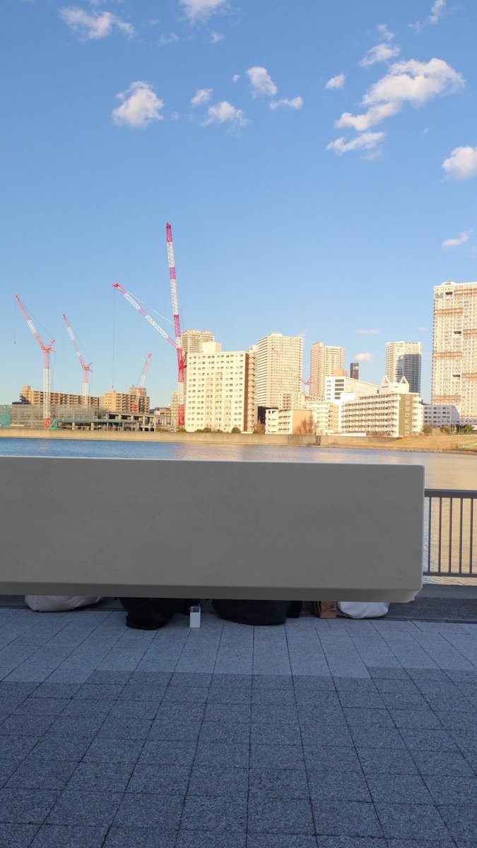 きくらげ。(取引垢) tweet media