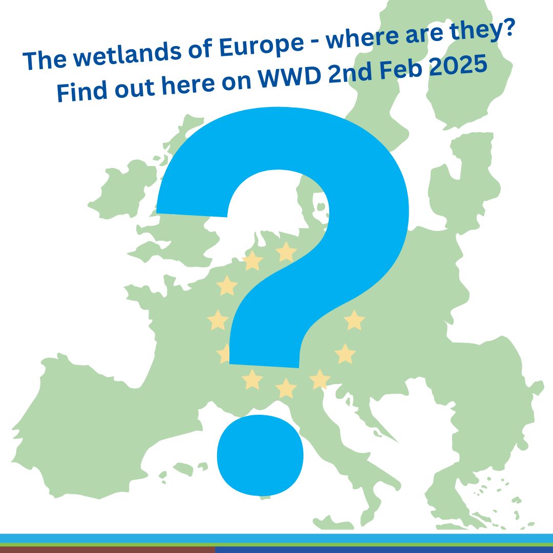 ALFAwetlands's tweet image. Do you know where Europe’s wetlands are located?
This Sunday, on #WorldWetlandsDay we will launch our European Wetlands Map (EWM), a joint output of @WetHorizons and  #ALFAwetlands projects!

It will be the most comprehensive, and up to date European Wetland Map, so stay tuned!