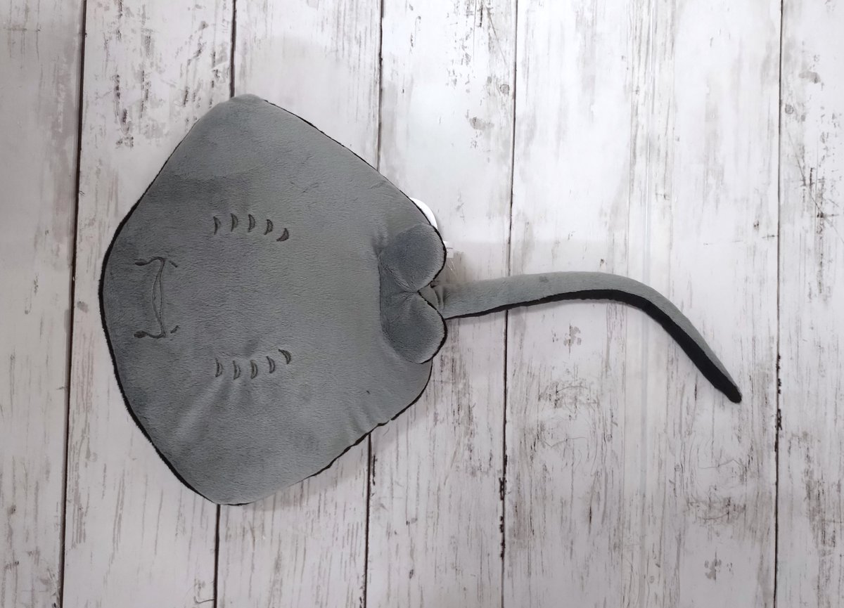 カラスエイです！
その通り真っ黒助なダンディーなエイちゃんです♪

カぁ～ラぁあスぅ～～なぜ鳴くのっ…とな♪
(・∀・)