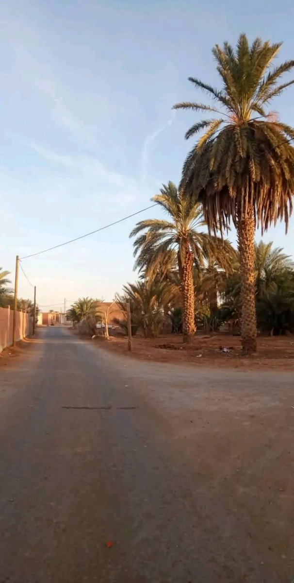 minochere's tweet photo. Bonjour, azul fellawen a tout mes amis . qui se reconnaîtront, je vous souhaite une excellente journée à vous tous 🙂🙏
photo village #Bour ##Ouargla. Commune #ngoussa ##Algerie
يومكم موفق ..للجميع ..
#الصورة من قرية #البور #انقوسة #ورقلة https://t.co/YjU3zOp6w5