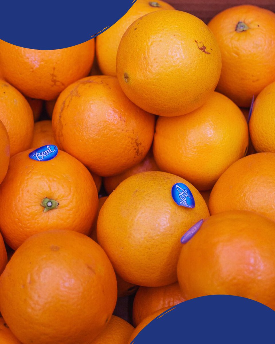 Hoy compartimos una foto de nuestra fruta favorita. ¡Ricas en vitamina C y perfectas para fortalecer tu sistema inmunológico!💪

Y tú, ¿En qué momento del día disfrutas de Naranjas Beni?🍊😍

#naranjas #naranjasbeni #naranjasdevalencia