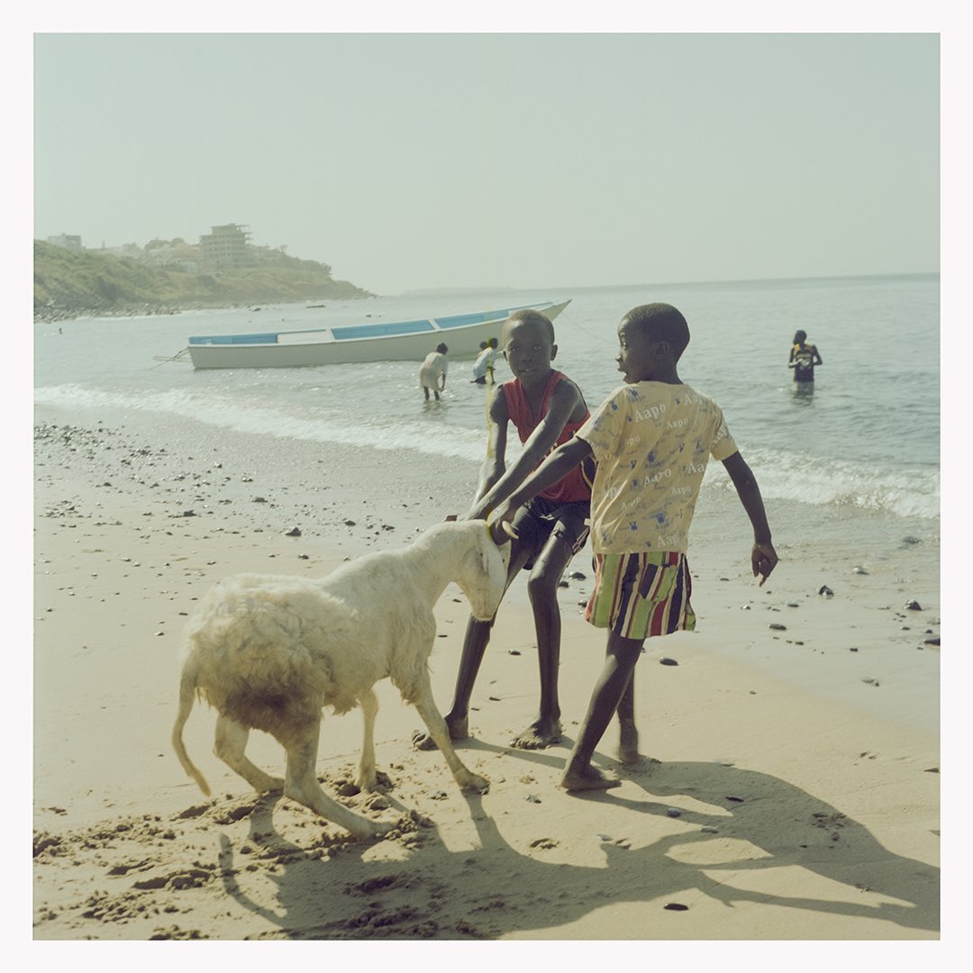 Ouakam through the yashica mat 
Dev by <a href="/grainyroll/">Grainyroll Lab</a>
