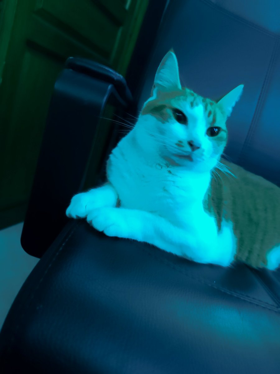 Nicotine addict SNCF & Ilevia hâte account tweet media