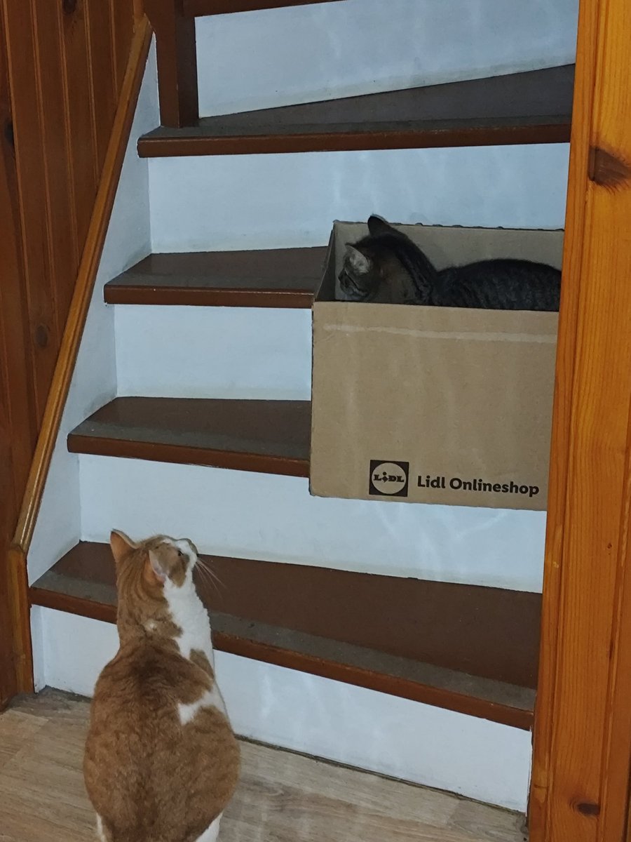 Nicotine addict SNCF & Ilevia hâte account tweet media