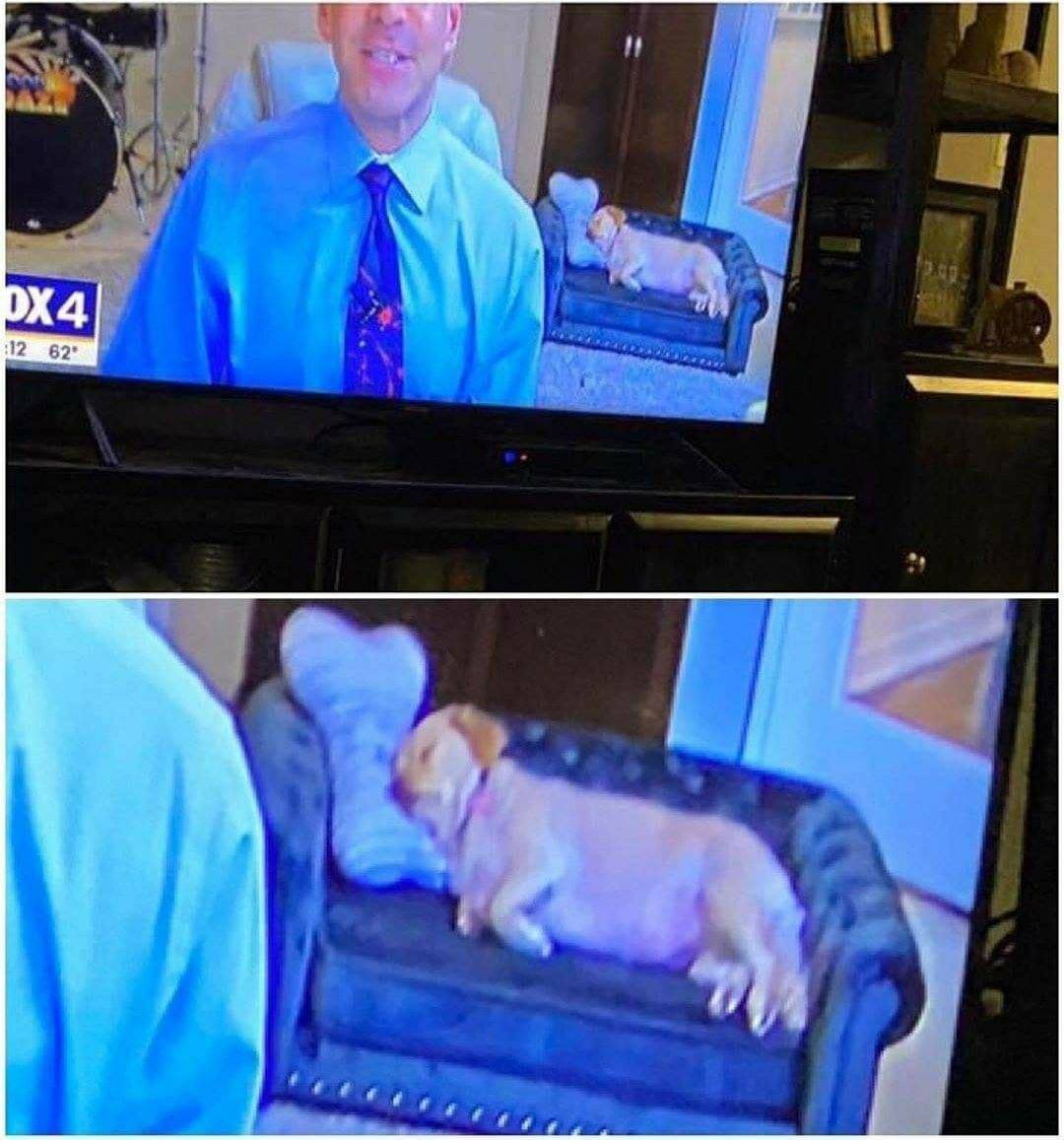 twaniimals's tweet photo. https://t.co/eo4nDNA2a9