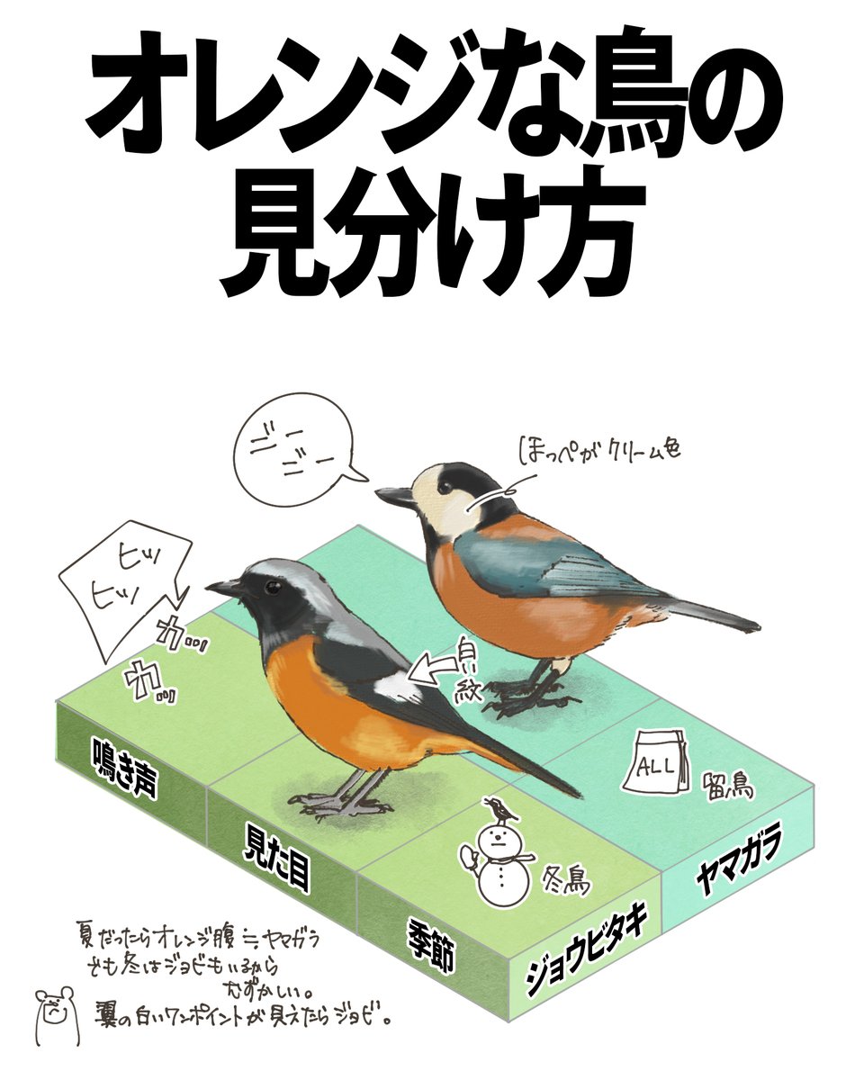 まさにいつも「んー、どっち？」って二度見する2羽。 ヤマガラは