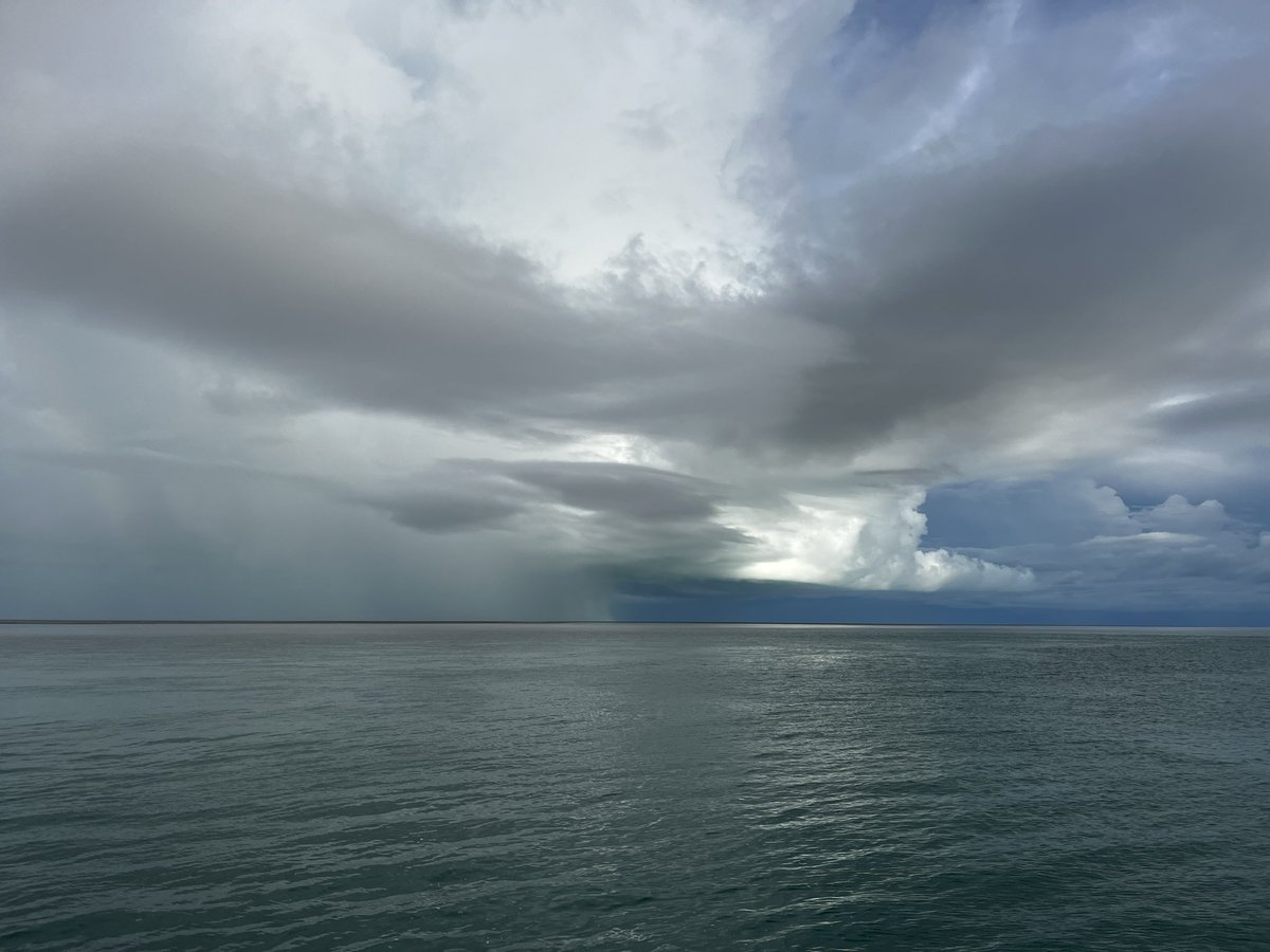 Kristen McSpadden tweet media