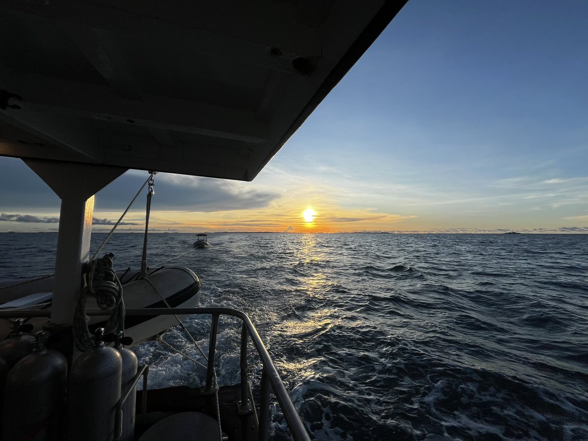 Kristen McSpadden tweet media