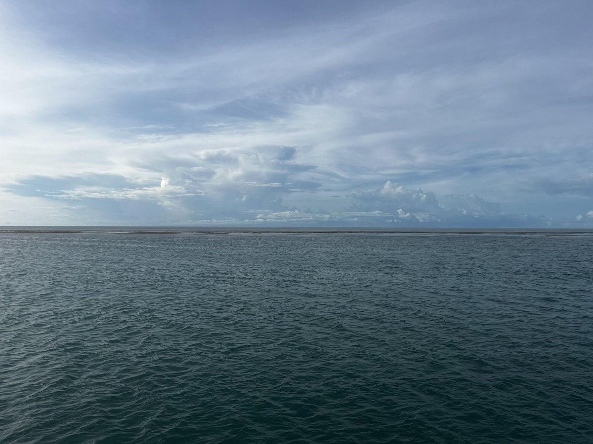 Kristen McSpadden tweet media