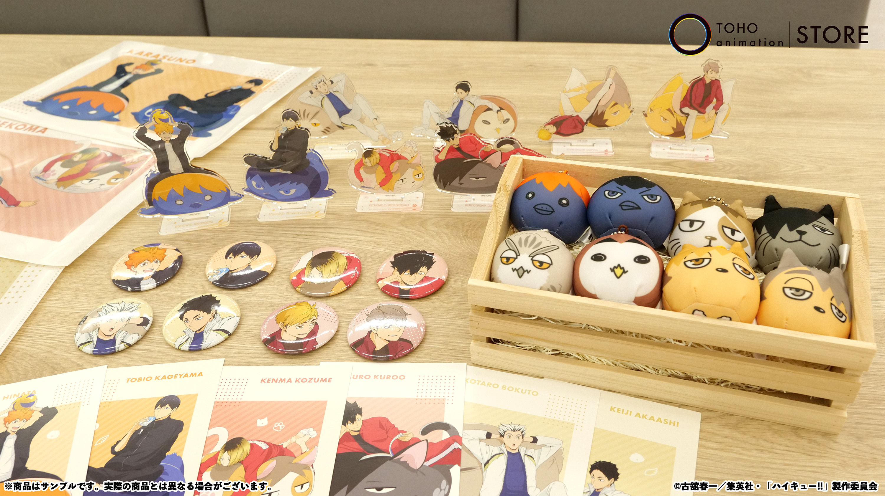 TOHO animation STORE on X: 