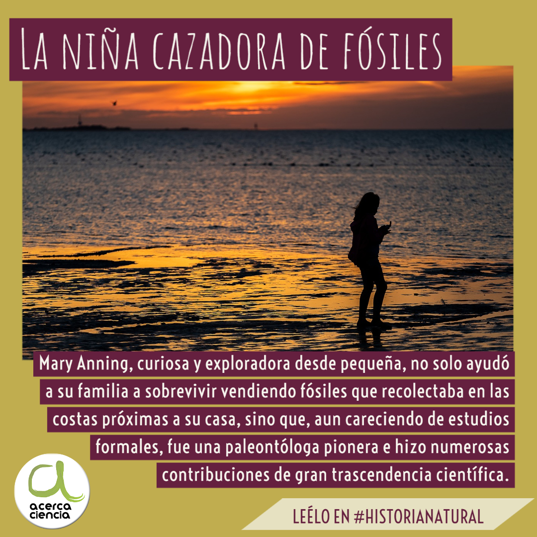 Mary Anning, curiosa y exploradora desde pequeña, fue una paleontóloga pionera e hizo numerosas contribuciones de enorme trascendencia científica. acercaciencia.com/2018/10/29/la-… por <a href="/cecidiprinzio/">Cecilia Di Prinzio 💚🧡💜</a>