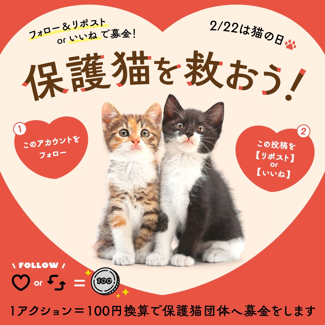 キャティーマン公式/ ニャンコはみんな、おともだち♡ (@cattymancam) on Twitter photo \フォロー&リポストで募金/
保護猫を救おう!🐈
🔻参加方法
1⃣ <a href="/cattymancam/">キャティーマン公式/ ニャンコはみんな、おともだち♡</a> をフォロー
2⃣この投稿をリポスト♻(いいねも可)
1アクション=100円換算で、皆様のお気持ちをドギーマンハヤシが代わって保護猫団体へ募金します💌
⬇️保護猫ちゃんの素敵なお写真もコメント欄にてお待ちしてます🐱 \フォロー&リポストで募金/
保護猫を救おう!🐈
🔻参加方法
1⃣ <a href="/cattymancam/">キャティーマン公式/ ニャンコはみんな、おともだち♡</a> をフォロー
2⃣この投稿をリポスト♻(いいねも可)
1アクション=100円換算で、皆様のお気持ちをドギーマンハヤシが代わって保護猫団体へ募金します💌
⬇️保護猫ちゃんの素敵なお写真もコメント欄にてお待ちしてます🐱