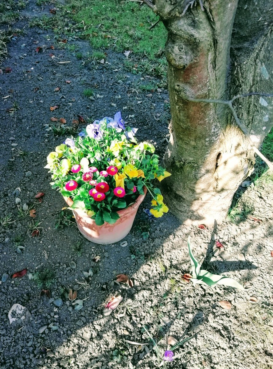 dieleserin2's tweet photo. Ich denke an jede Kleinigkeit zwischen
mir und ihr
und fühle,
daß Kleinigkeiten die Summe des Lebens ausmachen.
(aus David Copperfield, 1850)
#poetry #Dickens #springneeded
https://t.co/GGxjgzkfxl https://t.co/WlzosfIyA0