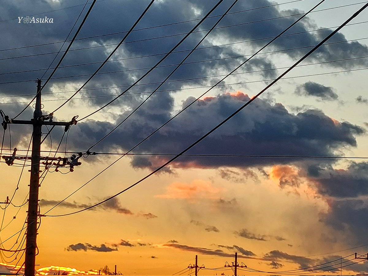 yumeasutw's tweet photo. 冷たい西風が吹き抜ける日の入り🌇
#黒雲 が流れ行く西の彼方が
オレンジに🟧✨
砂絵のような #尾流雲 が
風に流されています🌬️
東は桃色の #ビーナスベルト 🩷
#イマソラ
#空の名前
#天気の図鑑 #雲の超図鑑
#高積雲 #積雲
#夕空 #夕焼け #鉄塔 #電柱 #電線
#sunset
#a2025 #a0129 #a202501 https://t.co/zZtfpbNiQJ
