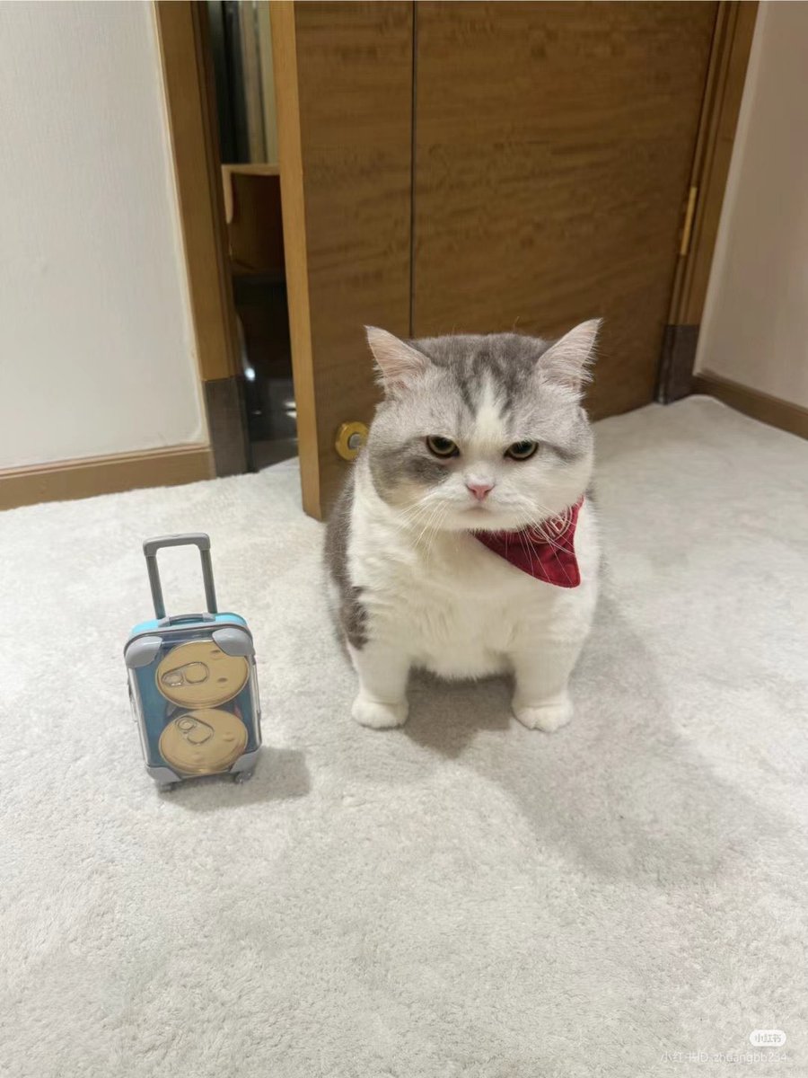 Guthix 🫵 tweet media