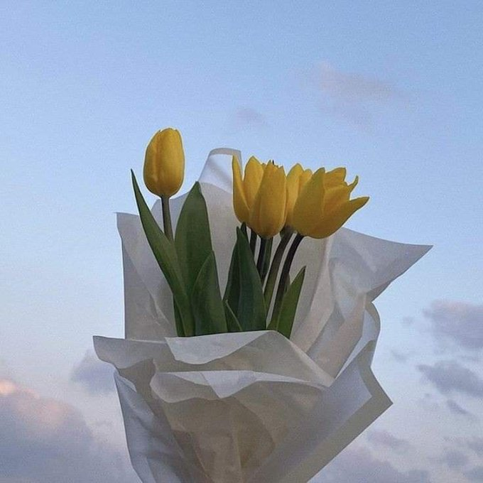 ꜱᴍɪʟᴇ สาลี่ ࣪ 𝜗𝜚 ✨ 🐱 🐥 tweet media