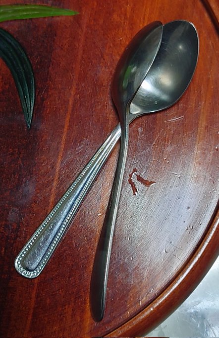 スプーンを2つ置いただけなのに

なんか、えっち 