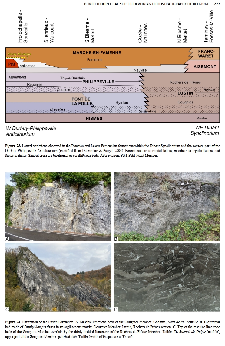 📣  New online thematic volume 27/3-4 of our journal Geologica Belgica on  "Devonian lithostratigraphy of Belgium" with the guest editors B.  Mottequin &amp; J. Denayer -&gt; consult here the four papers -&gt; popups.uliege.be/1374-8505/inde…