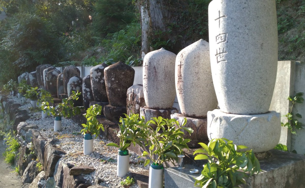 RAKUGOUKAI001's tweet photo. 第5回投稿：自由の実践と学び

絡合会の自由は、実践を通じて学び、深まります。例えば、地域絡合会での活動や勉強会を通じて、会員一人ひとりが「責任ある自由」の在り方を学びます。また、自由には試行錯誤がつきものですが、その過程で他者と意見を交わし、共に成長していくことが絡合会の醍醐味です。