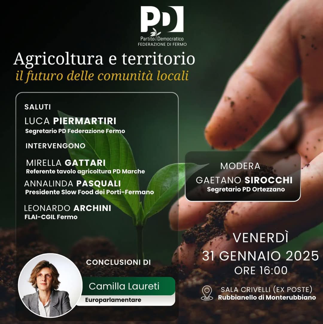 PD Federazione Fermo tweet media